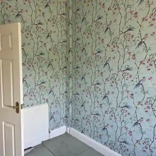 Parry Pro's decorating work — professional finish